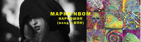 молекула духа Семилуки