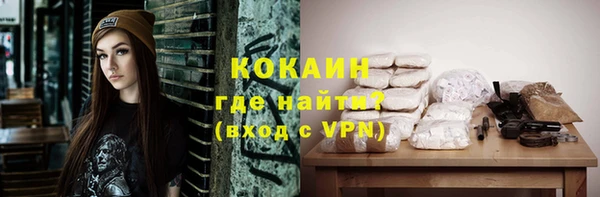 стафф Алзамай