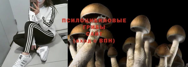 ALPHA PVP Абдулино