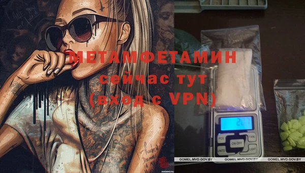 сатива Абинск
