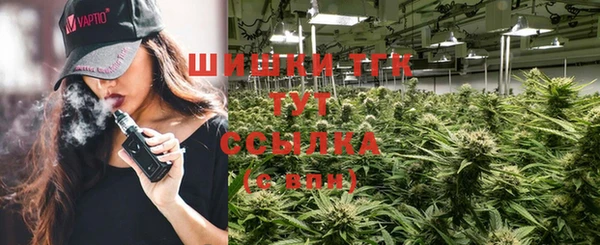 сатива Абинск